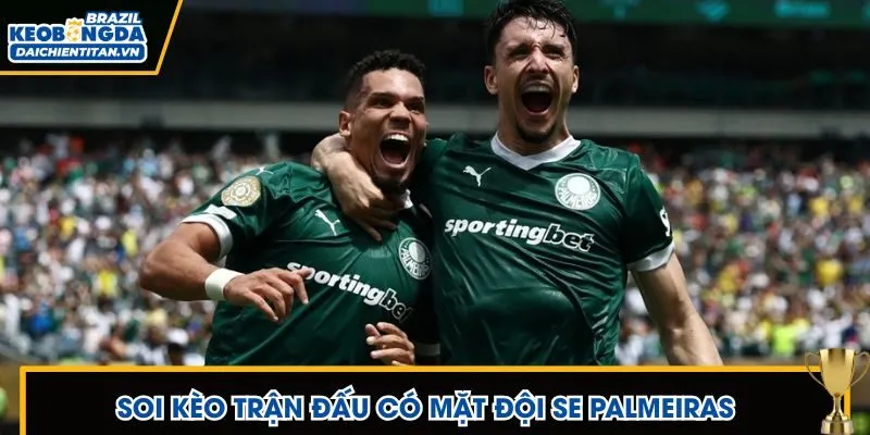 Soi kèo trận đấu SE Palmeiras để bạn nắm rõ