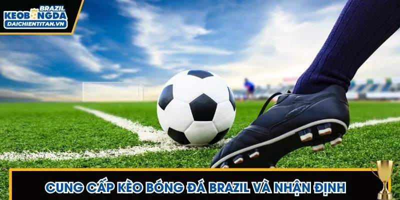 Trang phân tích kèo và nhận định